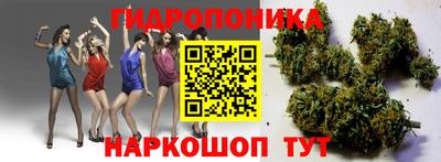 Альфа ПВП Новокубанск