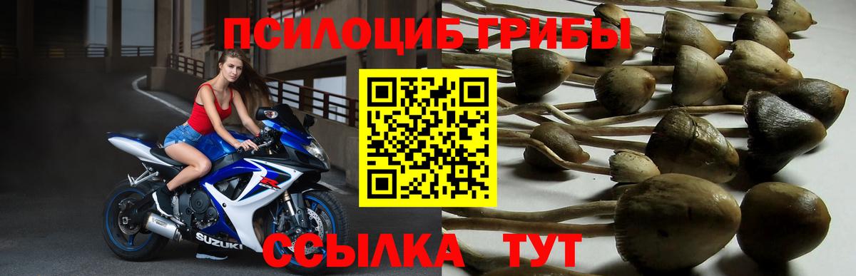 Псилоцибиновые грибы мухоморы  Вход с VPN  Старая Купавна 